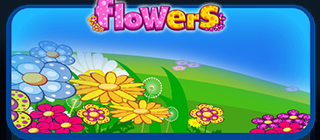 Botanical Connections: Flowers